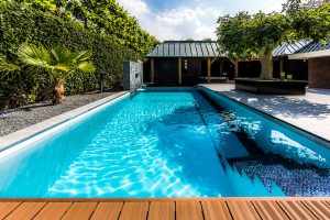 Dolphin Havuz Robotları