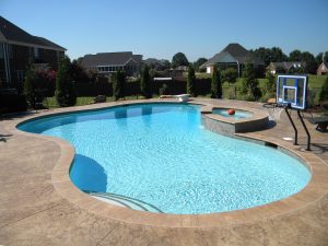 Dolphin havuz robotlarının fiyatları nedir?